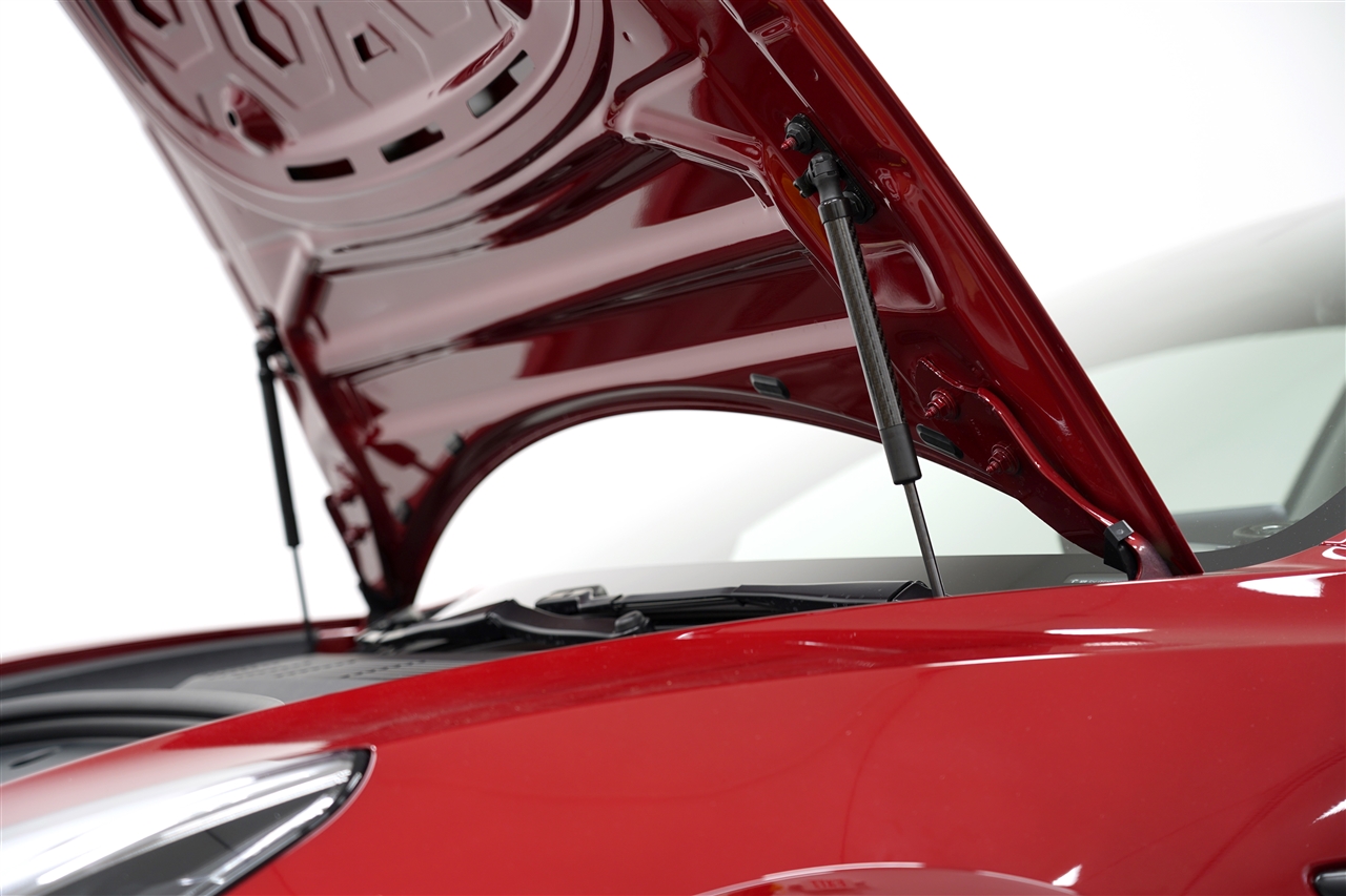 Redline Tuning QuickLIFT Carbon Fiber Sleeves for OEM Gas Struts (Tesla  Model 3 Frunk)