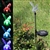 Single Solar Color-Changing Hummingbird Garden Stake Light