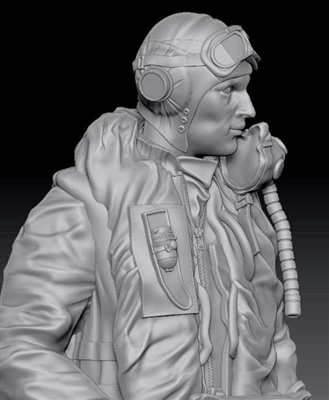 AIMS 48F002 - RAF/FAA Pilot 1950's (2 figures)