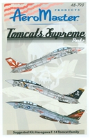 AeroMaster 48-793 - Tomcats Supreme, Part 2
