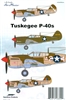 AeroMaster 48-800 - Tuskegee P-40s