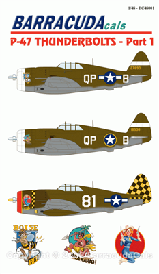 Barracuda BC-48001 - P-47 Thunderbolt, Part 1