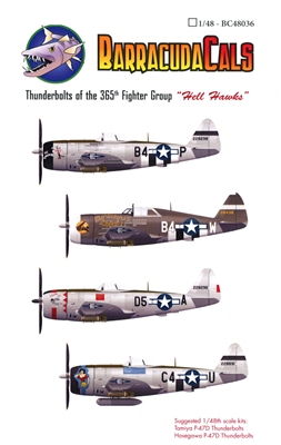 Barracuda BC-48036 - Thunderbolts of the Hell Hawks