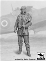 Black Dog F32028 - RAF Fighter Pilot No. 1, 1940-1945