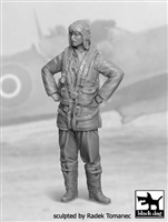 Black Dog F32029 - RAF Fighter Pilot No. 2, 1940-1945