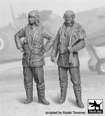 Black Dog F32030 - RAF Fighter Pilot Set, 1940-1945