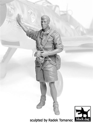 Black Dog F32071 - German Luftwaffe Pilot No. 3, Africa 1940-45