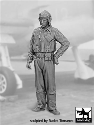 Black Dog F32075 - US Navy Pilot No. 2, 1940-45