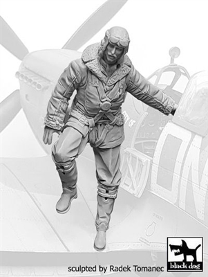 Black Dog F32078 - RAF Fighter Pilot No. 8, 1940-45