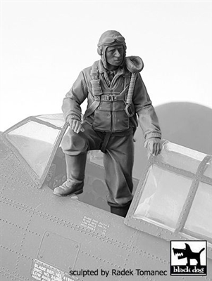 Black Dog F32135 - USAAF Fighter Pilot 1940-45 No. 1