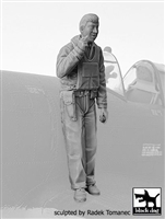 Black Dog F32136 - USAAF Fighter Pilot 1940-45 No. 2
