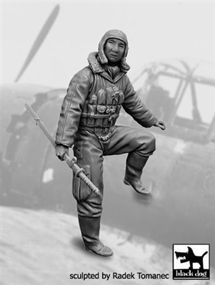 Black Dog F32139 - Japanese Fighter Pilot WW2 No. 1