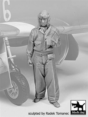Black Dog F32142 - USAAF Fighter Pilot 1940-45 No. 3