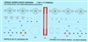 Caracal CDB48004 - F-117A Stencils