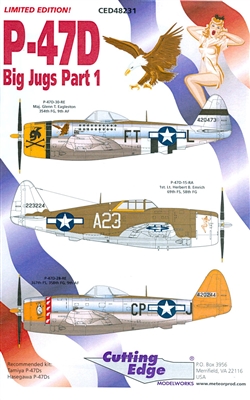 Cutting Edge CED48231 - P-47D Big Jugs, Part 1