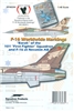 Eagle Strike 48264 - "Barak" of the 101 "First Fighter" Squadron and F-16 at Nevatim AB