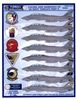 Furball F/D&S-4819 - Colors & Markings of USAF Navy Tomcats, Part X