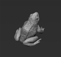 Jon Smith FROG02 - Frogs (1/32 & 1/35)