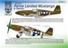 Moose Republic 32003 - North American P-51B, Forced Landed Mustangs in Sweden