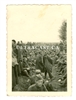 Large Group of Polish Prisoners of War, Poland 1939, Original WW2 Photo