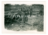 German 7.5 cm Pak 97/38 Anti-Tank Guns and Crews, Original WW2 Photo