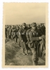 Column of Polish Prisoners of War, Poland 1939, Original WW2 Photo