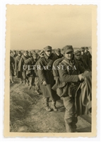 Column of Polish Prisoners of War, Poland 1939, Original WW2 Photo