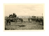 German Troops and Sturmgeschutz, Mius Front, Summer 1943, Russia WW2, Original WW2 Photo