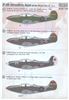 Print Scale 48-143 - P-39 Airacobra Aces of World War II, Part 2