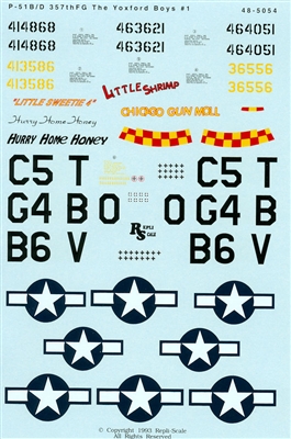 Repli Scale 48-5054 - P-51B/D 357th FG The Yoxford Boys #1