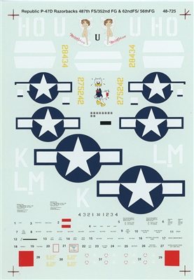 Super Scale 48-0725 - Republic P-47D Razorbacks