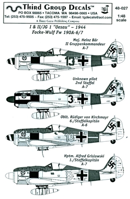 Third Group 48-027 - Focke-Wulf Fw 190A-6/7