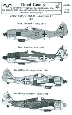 Third Group 48-044 - Focke-Wulf Fw 190 #9 - Survivors #1 (A-8)