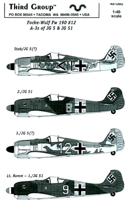 Third Group 48-060 - Focke-Wulf Fw 190 #12