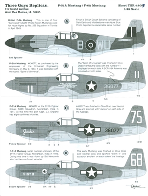 Three Guys Replicas TGR48007 - P-51A Mustang / F-6A Mustang