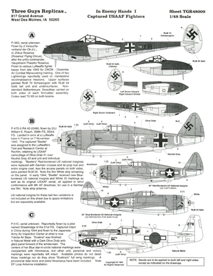 Three Guys Replicas TGR48009 - In Enemy Hands I, Captured USAAF Fighters