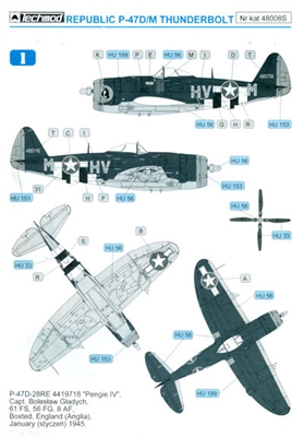 Techmod 48008S - Republic P-47D/M Thunderbolt