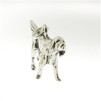 Sterling Silver Charm