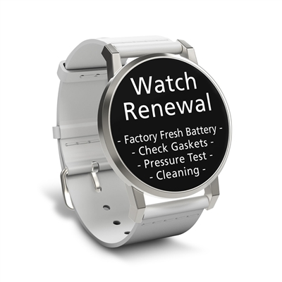 Watch Renewal for 1 Standard Grade Quartz (Battery, Pressure Test, Cleaning)