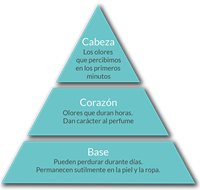 Sobre el Perfume Informacion