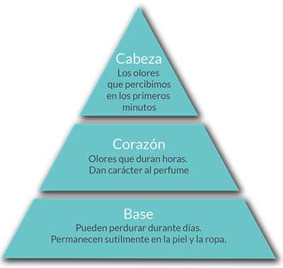 Sobre el Perfume Informacion