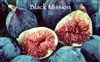 Italian 'Black Mission Fig' Aged Dark Balsamic Condimento