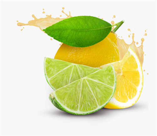 LemonLime Pairing Special: Persian Lime Extra Virgin Olive Oil & Sicilian Lemon White Balsamic Vinegar