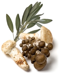 All Natural Porcini Wild Mushroom and Sage Infused Olive Oil