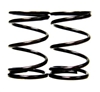 Springs, Valve, 10.8lb, Genuine Honda, Pair