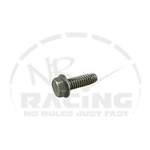 Bolt, 1/4" Self-Tapping 10mm Head for GX200, 6.5, & 212 Gov. Hole