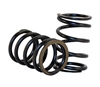 Springs, Valve, 22lb, Pair, Minimum Qty of 50 Pairs