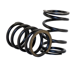 Springs, Valve, 22lb, Pair