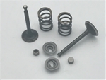 Valve & Spring Package, Stock Appearing Big Valve, 6.5 Chinese OHV & 212 Predator