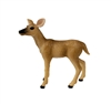 White-Tailed Doe